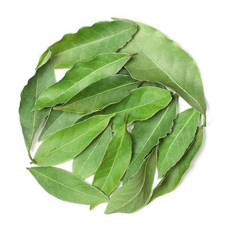 Camphor ingredient